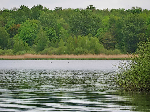 volksdorfer-teichwiesen-c-clarini-adobestock