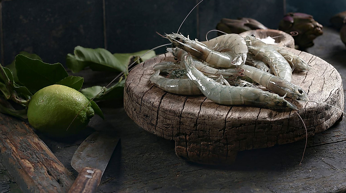 HanseGarnelen-Garnelen(-c)-