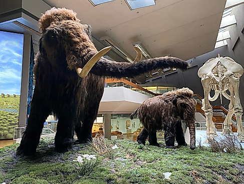 Ein Mammut Projekt