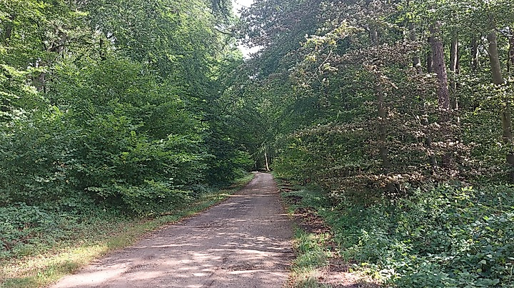 Gemütliche Fahrradtour am Sonntagnachmittag