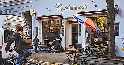 cafe-mimosa_c-2018-thisisjulia-photography-2