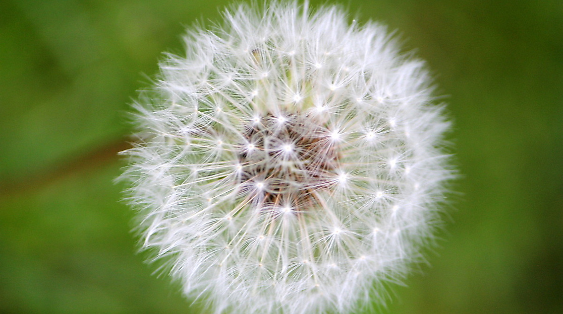 Wir laden ein zum Ostergottesdienst nach Boostedt