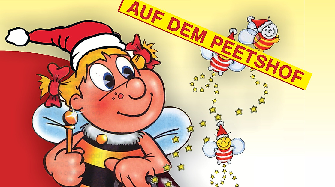 Wietzendorfer Weihnachtsmarkt