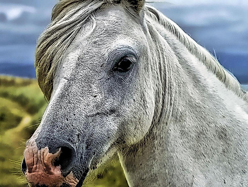 Bild von Steven Iodice auf Pixabay