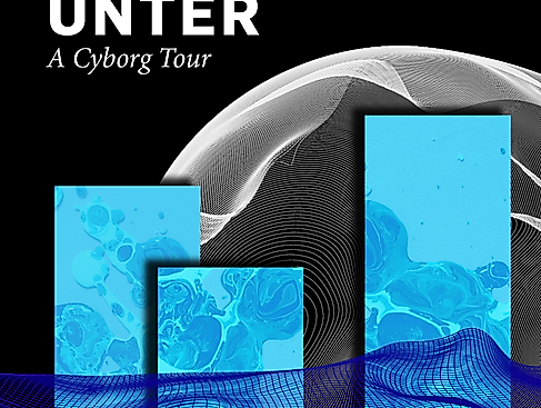 Venedig unter - A Cyborg Tour