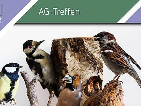 Treffen AG Vogelkunde