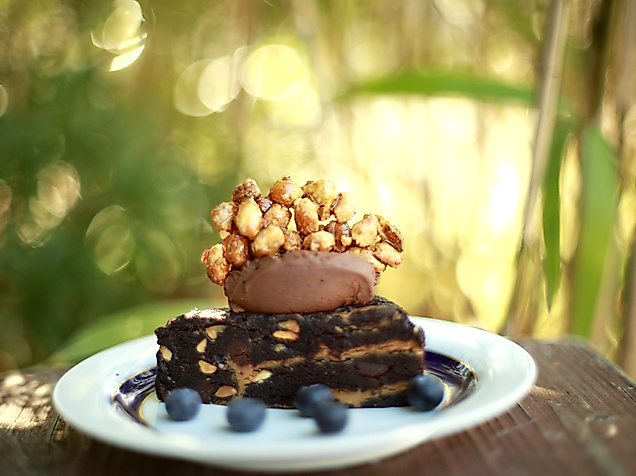 the-vegan-eagle_c-hannah-elser-3