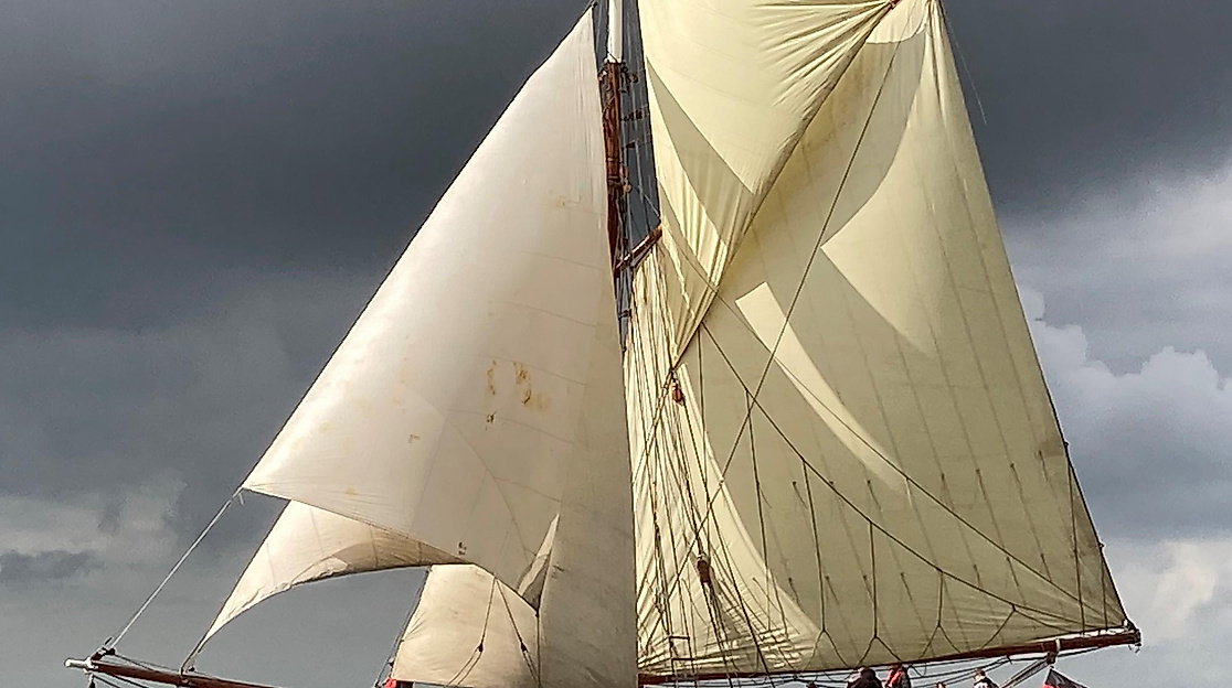 Mit Frieda nach Glückstadt und zurück - Gemüse unter Segeln