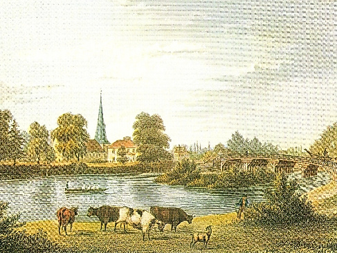 eppendorf