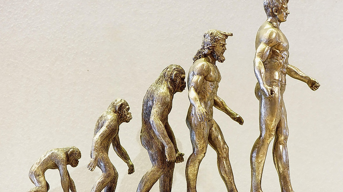 evolution-4107273_1280