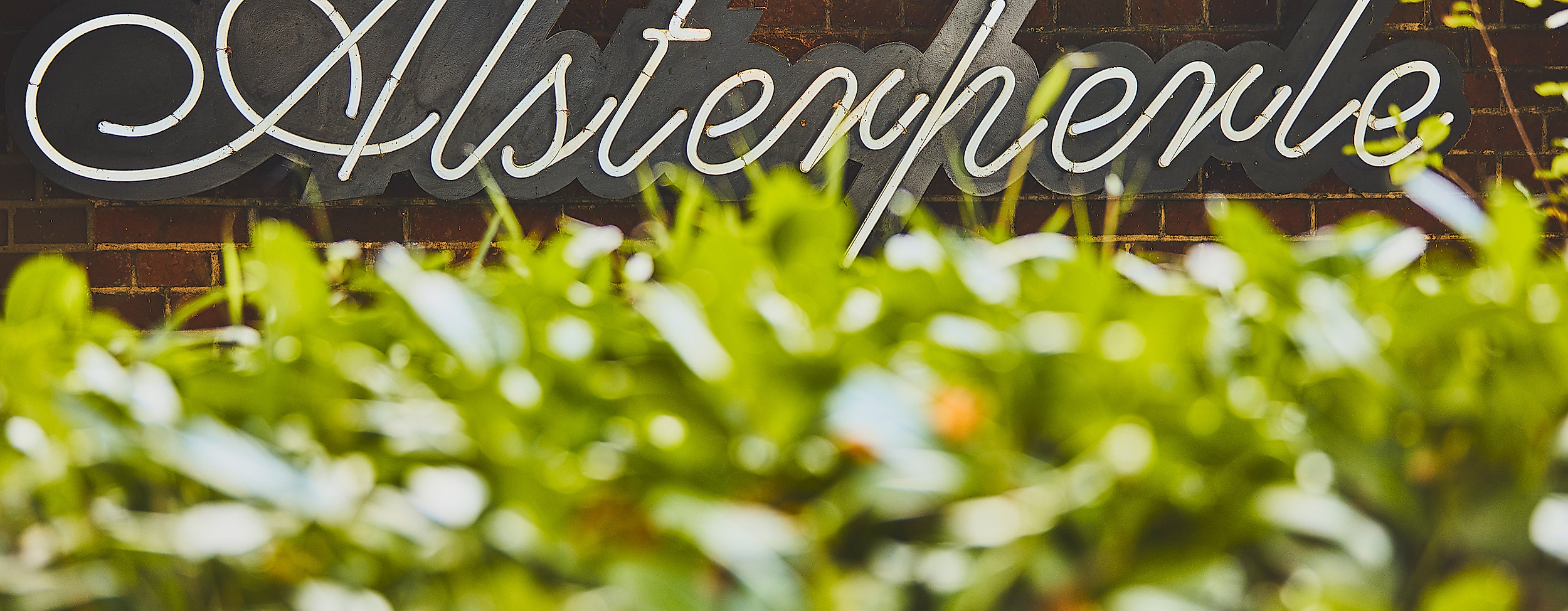 alsterperle_c-2018-thisisjulia-photography-5