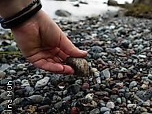Geologische Strandführung