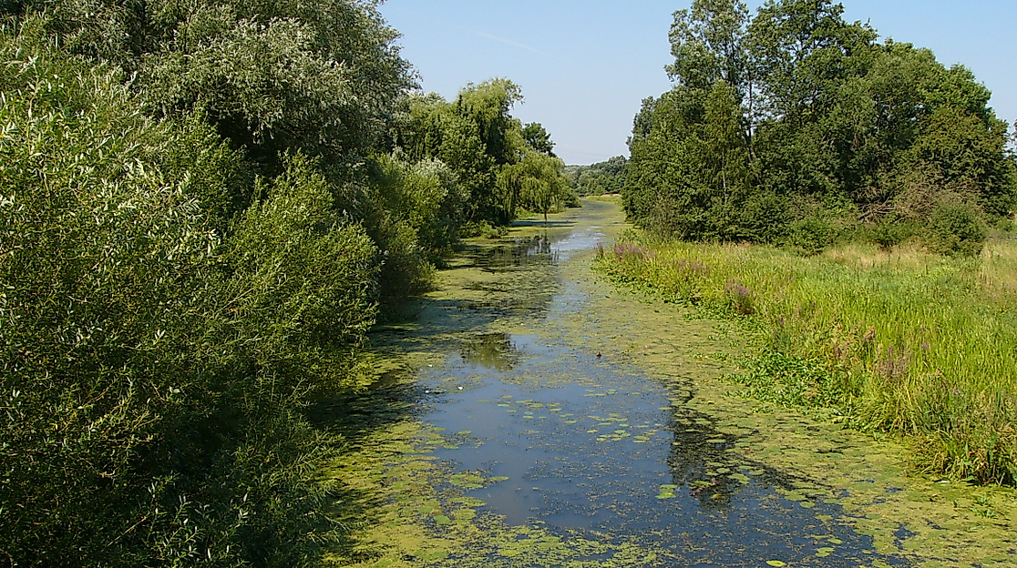 boberger-duenen_fluss_c-infohaus-boberg-loki-schmidt-stiftung