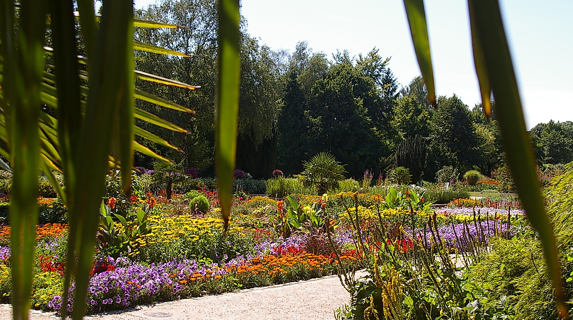 Botanischer Sondergarten Wandsbek - Gewächshaus