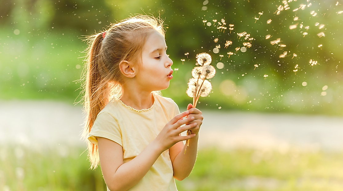 maedchen-mit-pusteblume