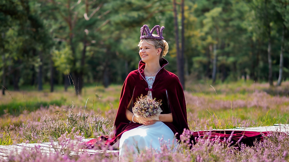 Heideblütenfest 2026