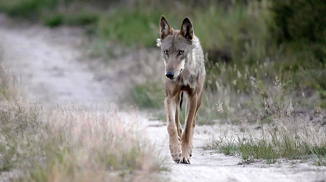 Korridore des Lebens