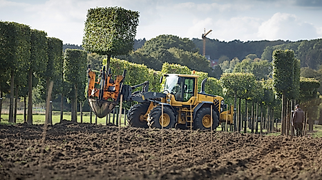Garten-von-Ehren_Baumschulsafari_Baumschule