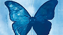 Ed O'Brien - An Evening With… Blue Morpho Tour