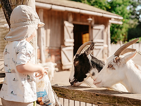 Hofführung auf Hof Klostersee