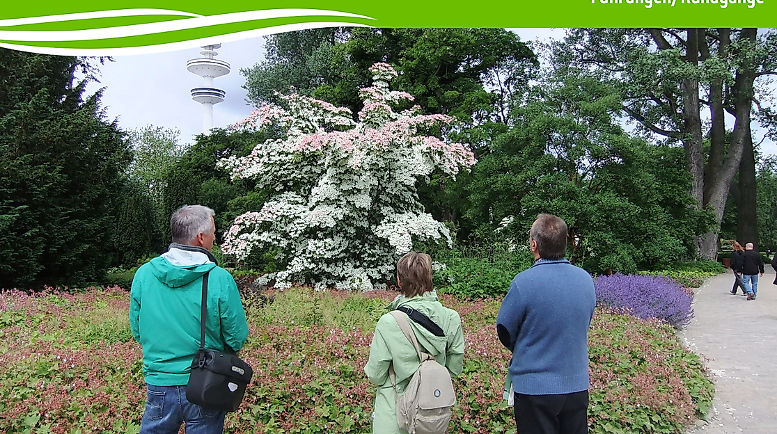 Vorlagen PuB Veranstaltungskalender (33)