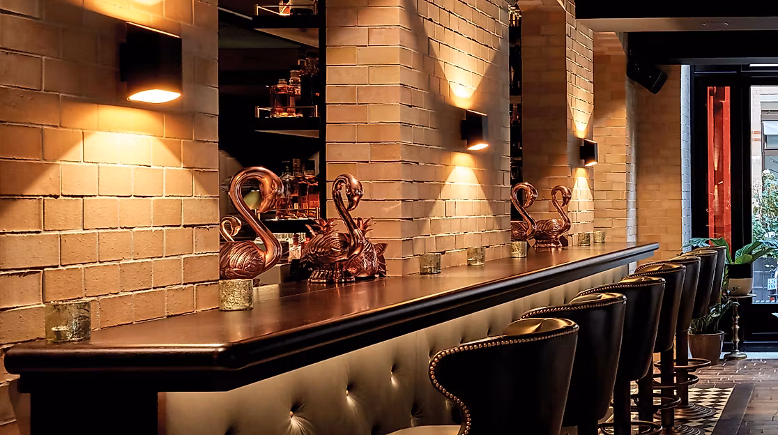 bar_noir-16-c-tortue_hamburg