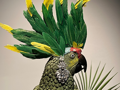 Der grüne Kakadu