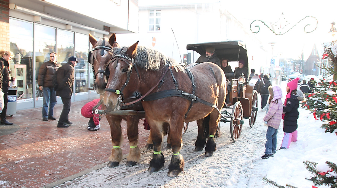 Kutschfahrten durch Neustadt in Holstein
