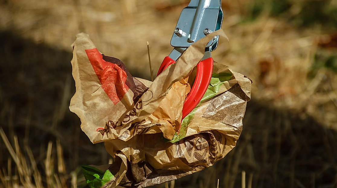 Aktion "saubere Wingst"