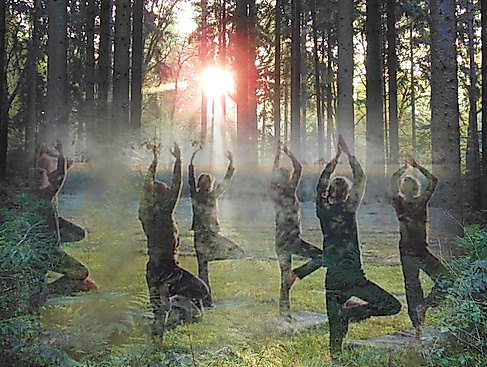 Naturmagie meets Yoga