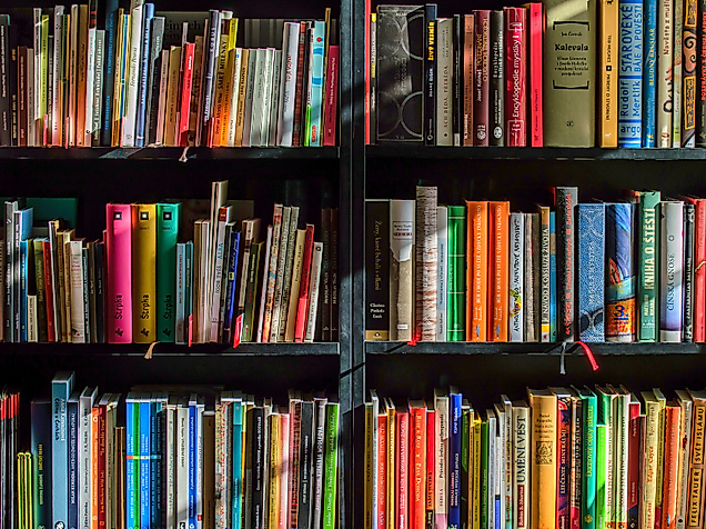 buchhandlung-luedemann_books-1204029_1920_c-bild-von-lubos-houska-auf-pixabay