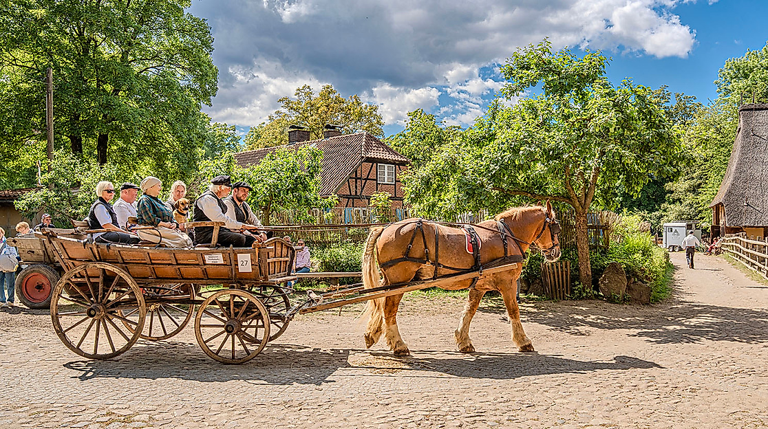 wagen-18