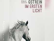 Norbert Gstrein: Im ersten Licht