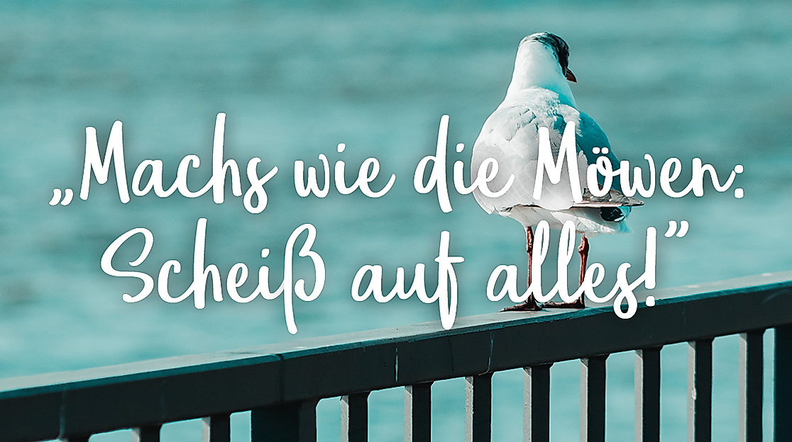 Machs wie die Möwen: Scheiß auf alles!