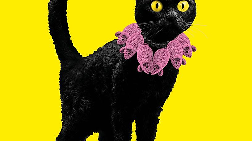 Plakatmotiv "KATZEN!"