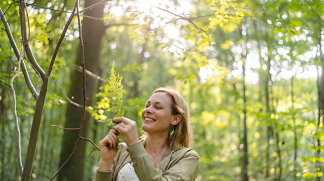 Den Wald mit allen Sinnen genießen