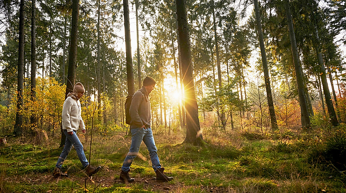 Zwei Menschen wandern bei Sonnenlicht durch ein waldreiches Naturschutzgebiet in Hamburg
