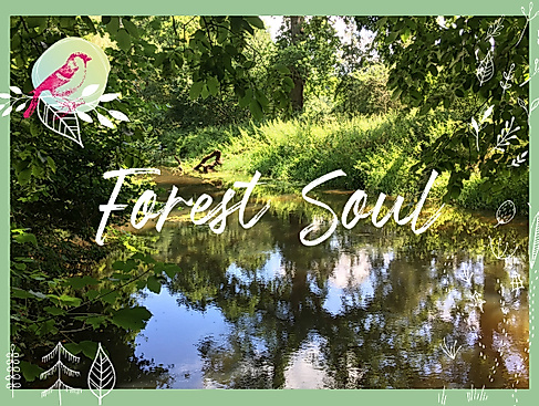 Auszeit im Wald -Forest Soul, waldimpuls-hamburg