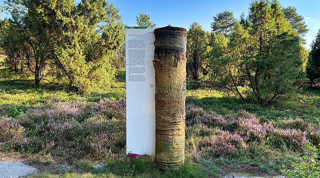 Informationen zum Heideboden am Schillohsberg