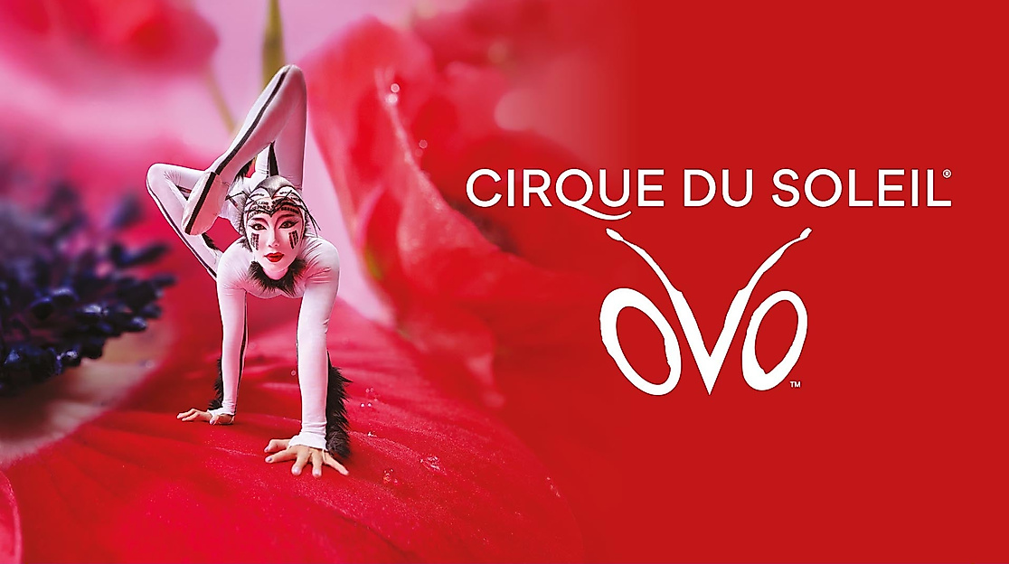 Cirque du Soleil