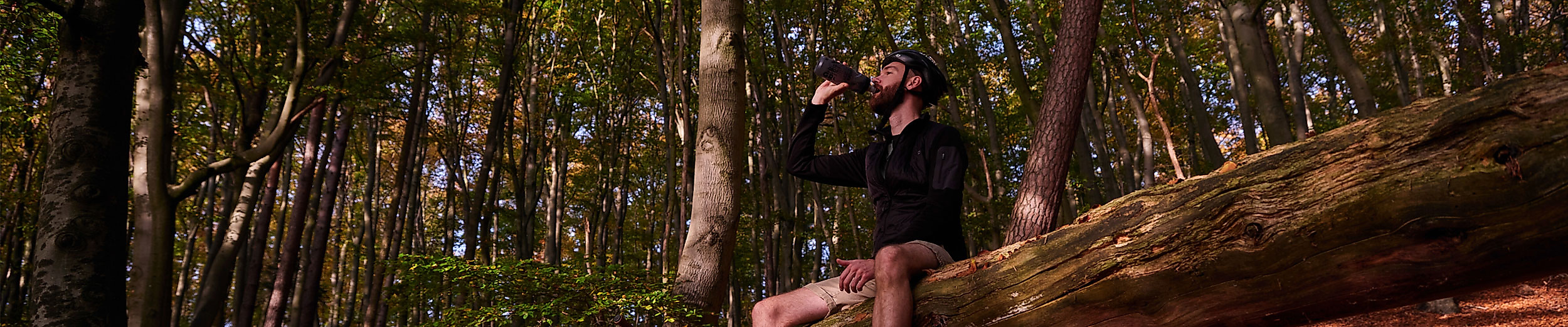 Wohldorfer Wald