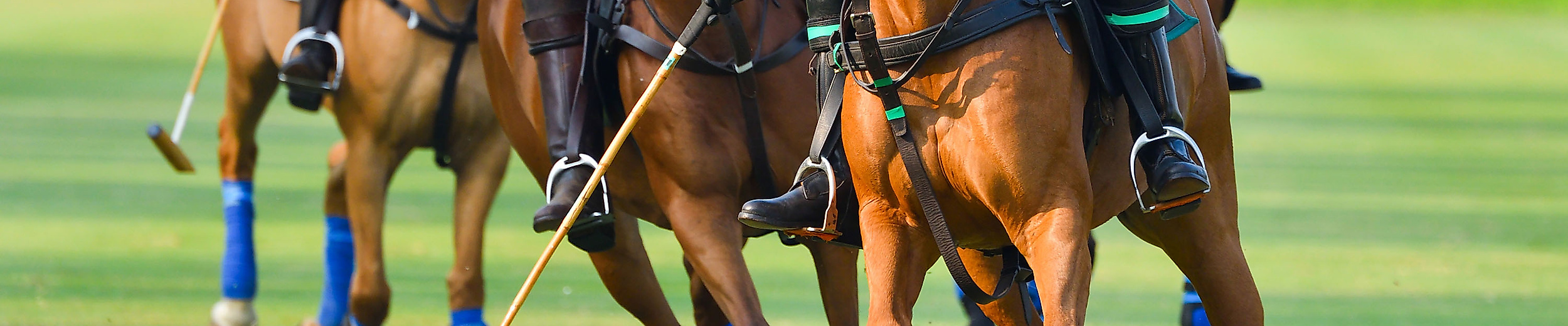Polo-Spiel auf grüner Wiese mit Reiter:innen in Aktion als britischer Traditionssport in Hamburg