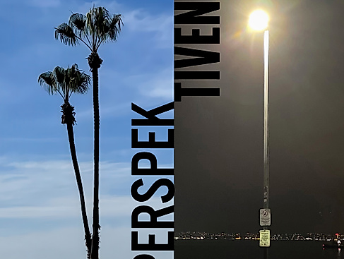 Flyeronlineversion