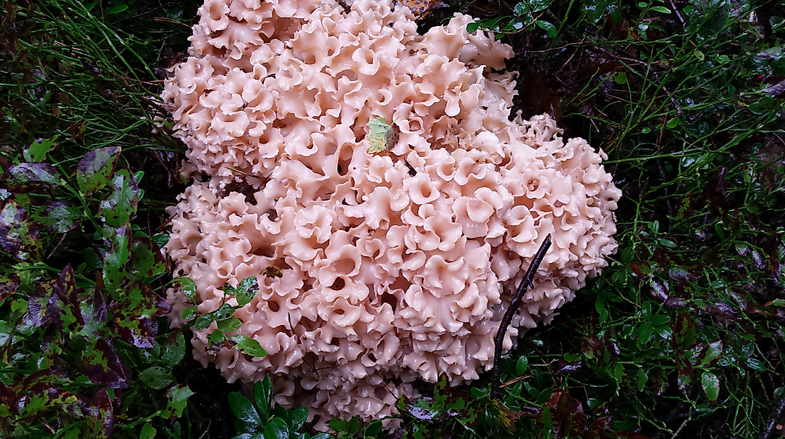 20150919_143204