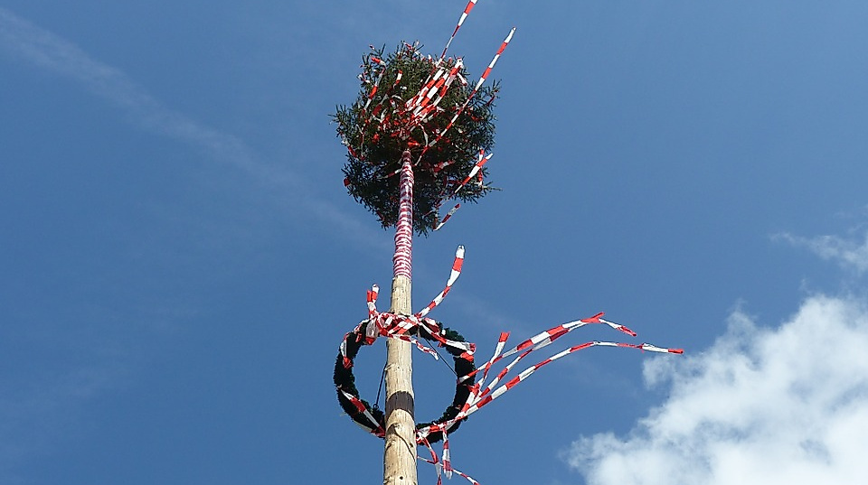 maibaum_2