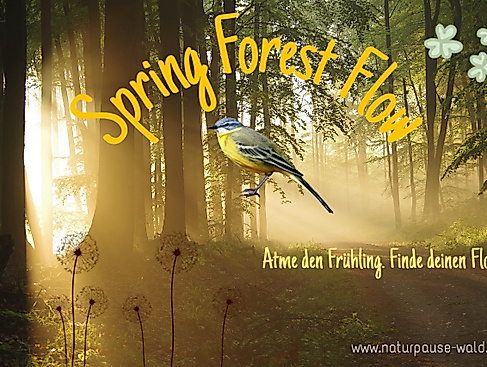 Waldbaden im Frühling