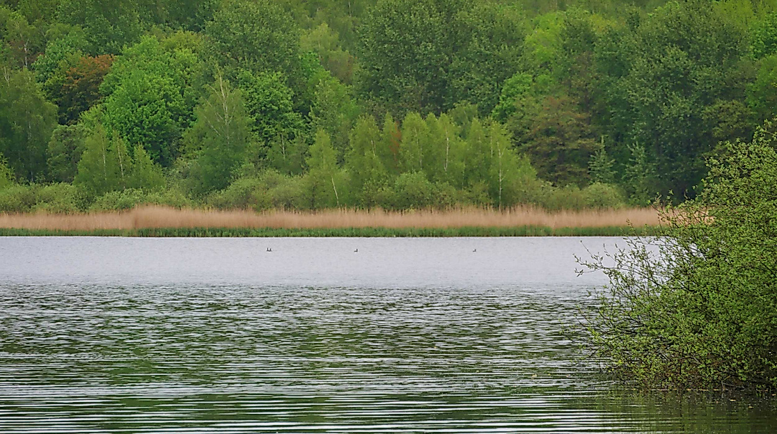 Volksdorfer Teichwiesen Nature reserve