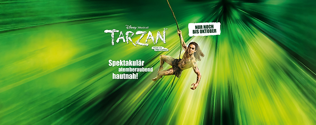 Package: Disneys Musical TARZAN
