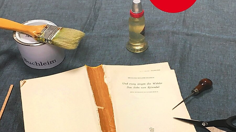 Plakat Buchdoktor_2026