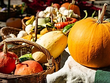 Erntedank-Gottesdienst auf dem Markt mit Pastor Robert Pfeifer